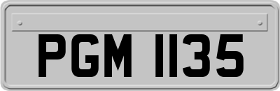 PGM1135