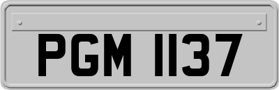 PGM1137