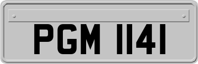 PGM1141