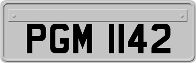 PGM1142