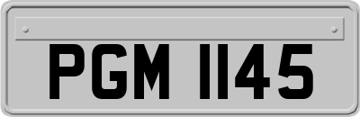 PGM1145