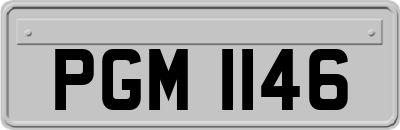 PGM1146