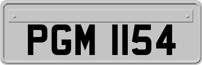 PGM1154