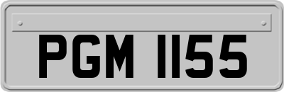 PGM1155