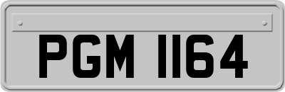PGM1164