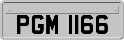 PGM1166