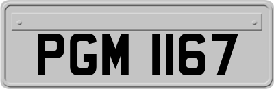 PGM1167