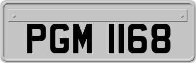 PGM1168