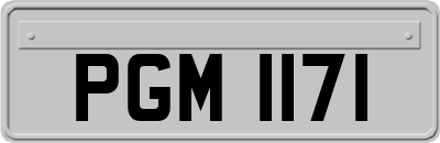 PGM1171