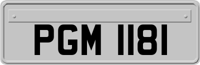 PGM1181