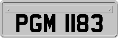 PGM1183