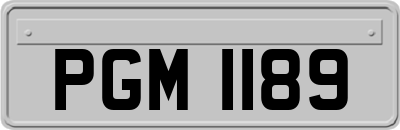 PGM1189
