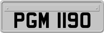 PGM1190