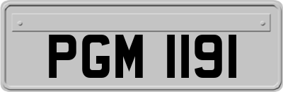 PGM1191