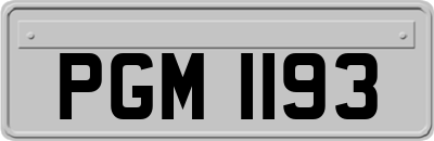 PGM1193