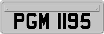 PGM1195