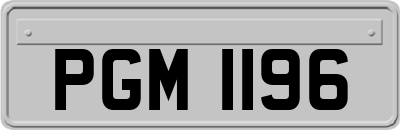 PGM1196