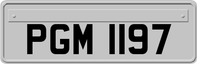 PGM1197