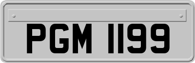 PGM1199