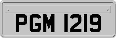 PGM1219