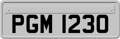 PGM1230