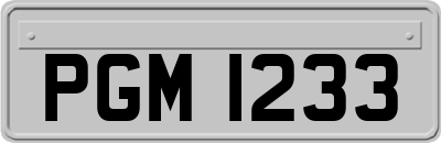 PGM1233