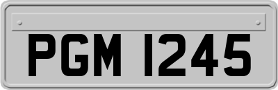 PGM1245