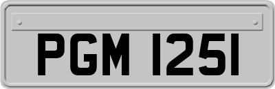 PGM1251