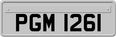 PGM1261