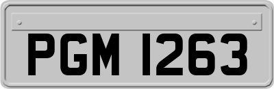 PGM1263