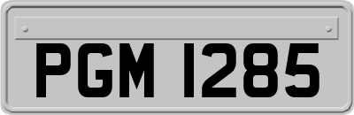 PGM1285