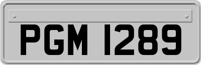 PGM1289