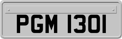 PGM1301