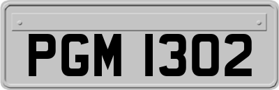 PGM1302