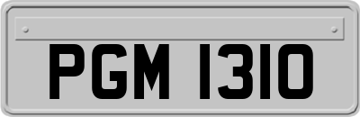 PGM1310