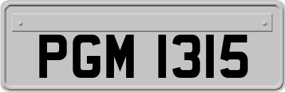 PGM1315