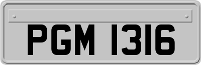 PGM1316