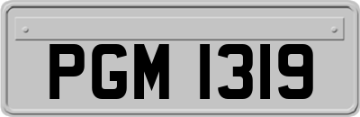 PGM1319