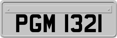 PGM1321