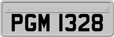 PGM1328