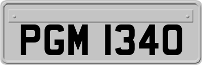 PGM1340