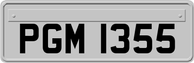 PGM1355
