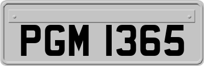 PGM1365