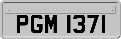 PGM1371