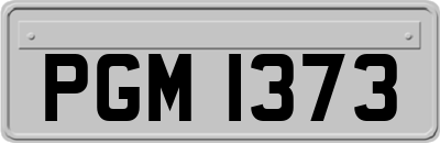 PGM1373