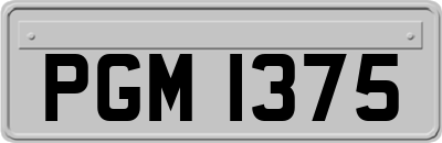 PGM1375