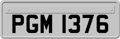 PGM1376