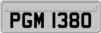PGM1380