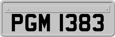 PGM1383