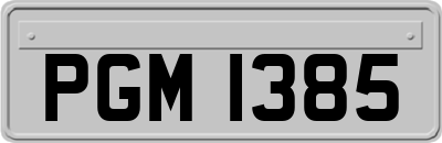 PGM1385